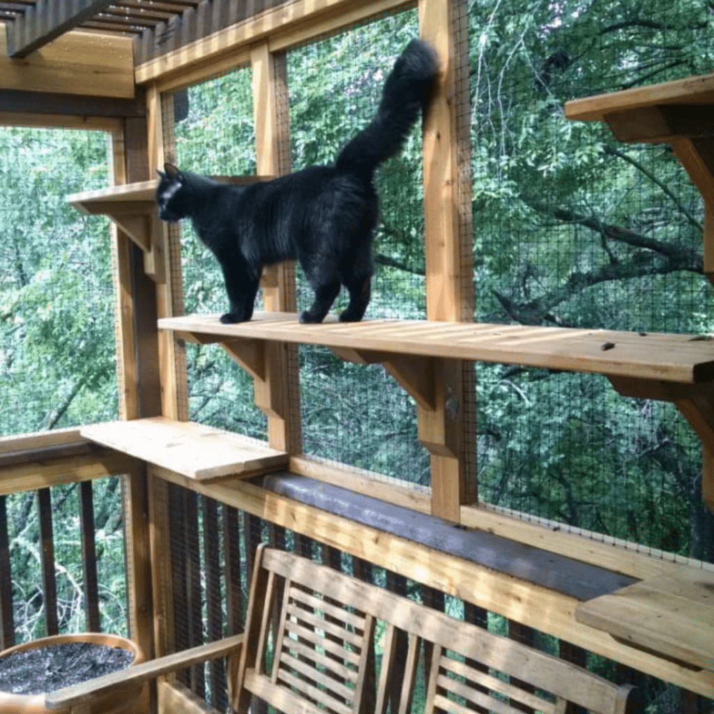 Cat Condo - Footprint Decks and Design proudly serves Colorado Springs, Monument, Castlerock, Denver, Peyton, and Black Forrest.