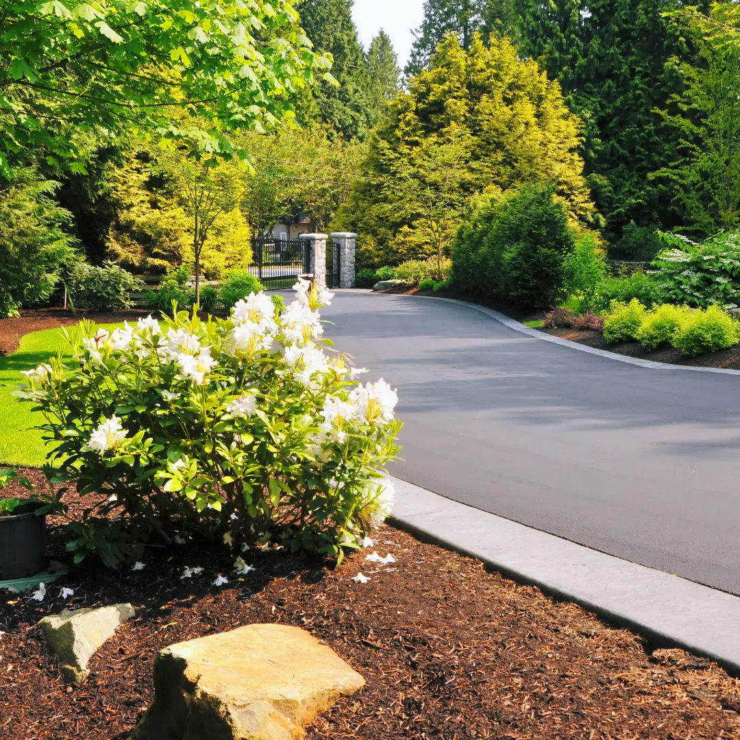 Landscaping - Castle Rock Service Area - Footprint Decks and Design