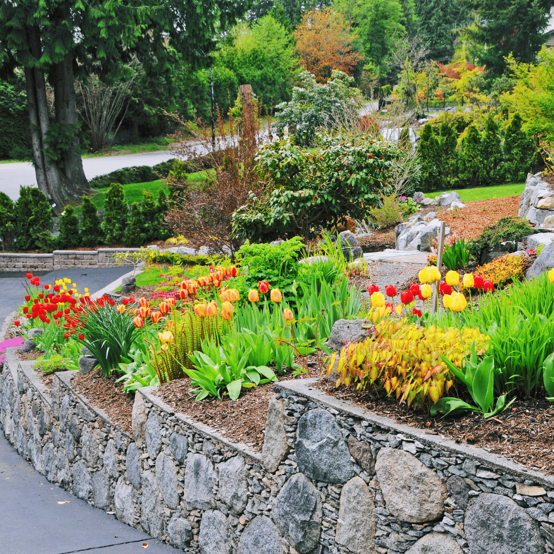 Landscape Contractors in Colorado Springs, Co